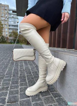 Зимние ботфорты