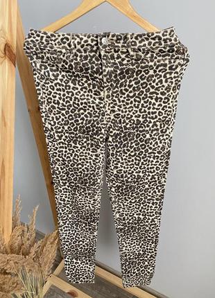 Котонові джинси скіні штани принт леопард2 фото