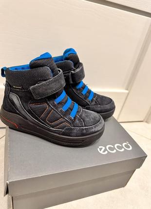 Черевики ecco