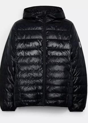 Пуховик оригинал coach