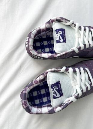 Кроссовки concepts x nike sb dunk low pro qs'purple lobster'3 фото