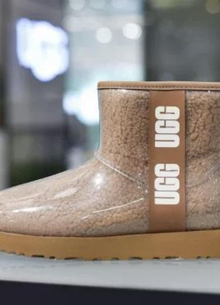 Оригинальные цветные ugg3 фото