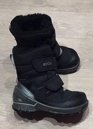 Зимові термо черевички ecco biom gore-tex 22р6 фото