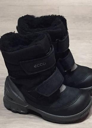 Зимові термо черевички ecco biom gore-tex 22р2 фото