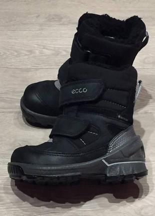 Зимові термо черевички ecco biom gore-tex 22р4 фото