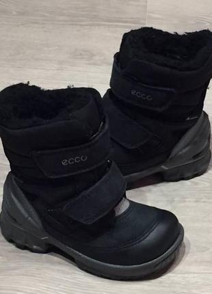 Зимние термо ботиночки ecco biom gore-tex 22р1 фото