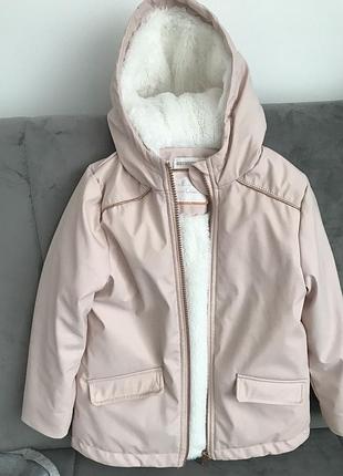 Куртка orchestra