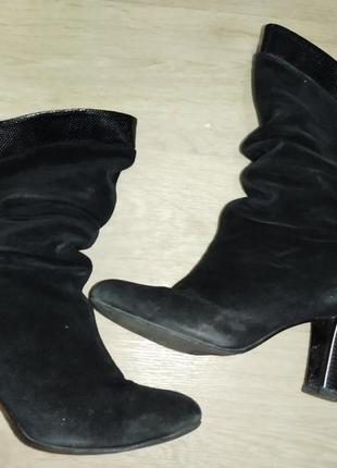 Полусапожки замшевые на цегейке