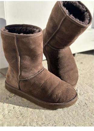 Зимние сапоги, угги, ботинки, ugg