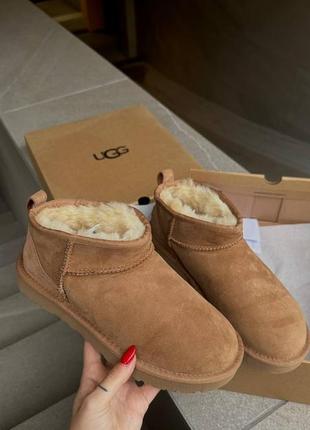 Угги угги угги угги ugg ultra mini chesnut2 фото