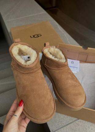 Угги угги угги угги ugg ultra mini chesnut5 фото