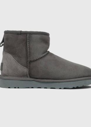 Сапоги угги ugg