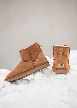 Мужские угги рыжие замшевые ugg classic mini4 фото