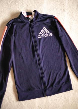 Спортивна кофта adidas1 фото