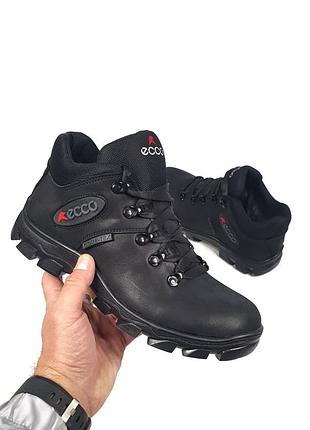 Ecco gore-tex