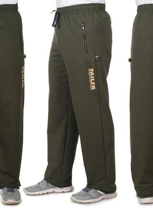 Мужские спортивные штаны из турецкого трикотажа на металлической молнии демисезон (208б)