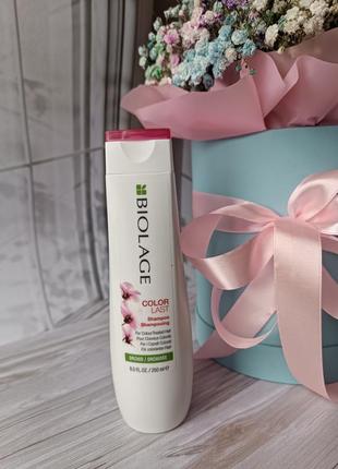 Biolage шампунь для захисту фарбованого волосся colorlast,250 мл