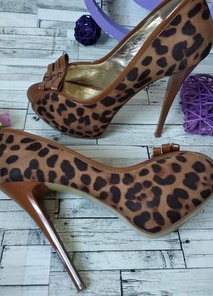 Женские туфли eva rossi коричневого цвета леопардовый принт размер 407 фото
