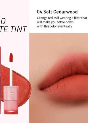 В наличии матовий тінт для губ  peripera ink mood matte tint #04 soft cedarwood 4 г1 фото