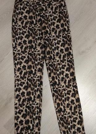Штани леопард 4