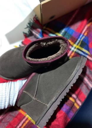 Жіночі ugg ultra mini dark brown