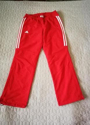 Спортивные штаны олдскул adidas climalite2 фото