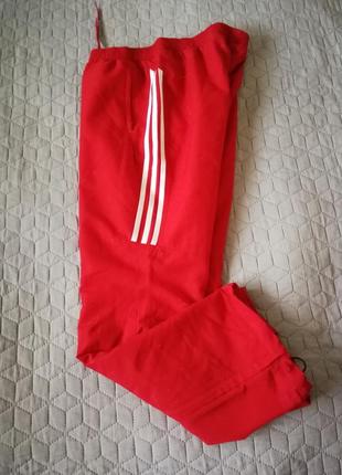Спортивные штаны олдскул adidas climalite6 фото