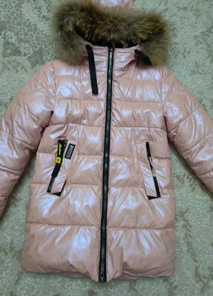 Куртка зимняя пудровая для девочки 146 р