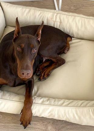 Лежак для собак sweet dreams ivory екошкіра вологостійкий l - 90х60х25см