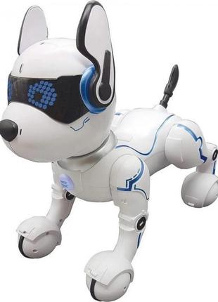 Робот собака stunt dog на радиоуправлении интерактивная световые и звуковые эффекты7 фото