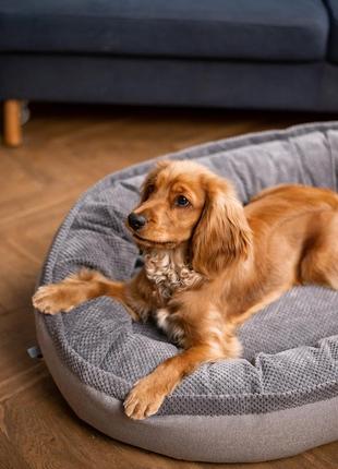 Овальний лежак donut для середніх та великих собак, розмір l4 фото