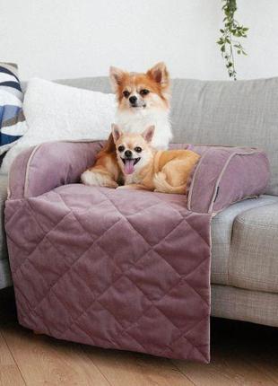 Лежак для собак та котів на диван sofa bed powder велюр s - 60х90х15см
