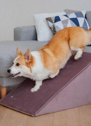 Пандус для собак powder 78х45х42см