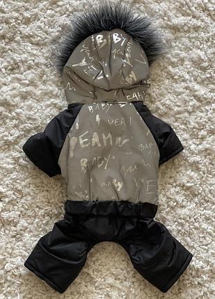 Одежда для животных