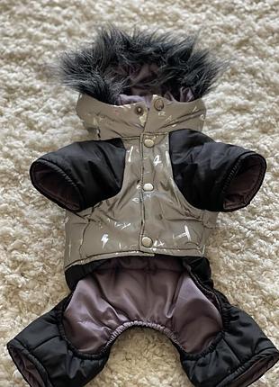 Одяг для тварин2 фото