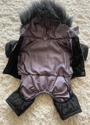 Одяг для тварин3 фото