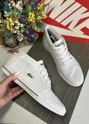 Оригинальные высокие кеды ботинки lacoste