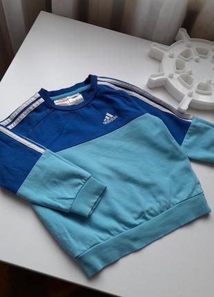 Кофта adidas