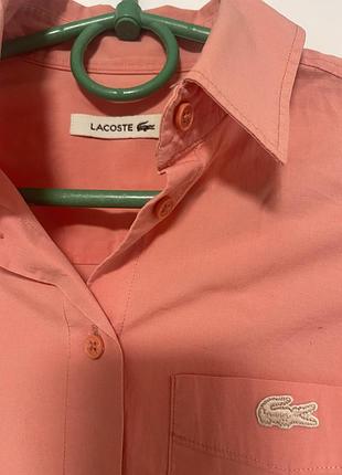 Сорочка lacoste