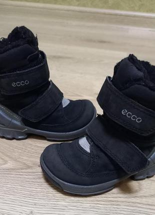 Зимние ботинкиecco biom мокасины
