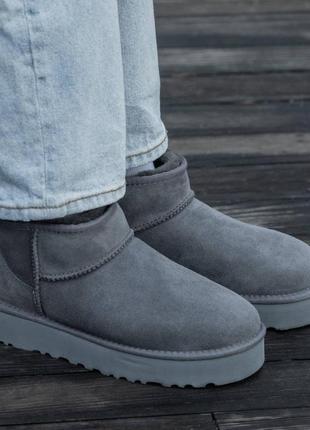 Женские угги ugg ultra mini  mid platform grey suede1 фото