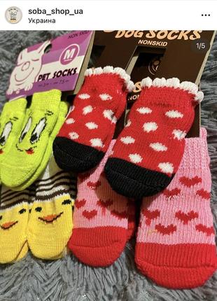 Шкарпетки для песиків