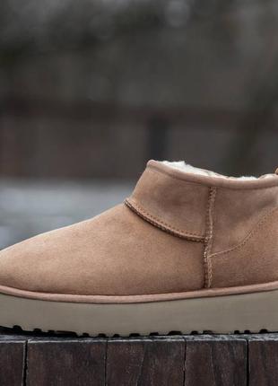 Ugg platform chestnut ultra mini, угги женские замшевые, угги ультра мини, угги на платформе, угги женккие ультра мыны3 фото