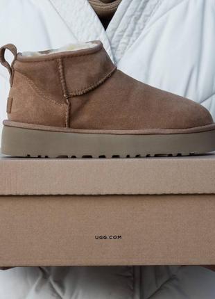 Ugg platform chestnut ultra mini, уггі жіночі замшеві, уггі ультра міні, уггі на платформі, угги женские ультра мини