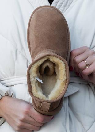 Ugg platform chestnut ultra mini, угги женские замшевые, угги ультра мини, угги на платформе, угги женккие ультра мыны5 фото