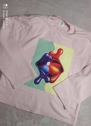 Світшот h&m studio 6