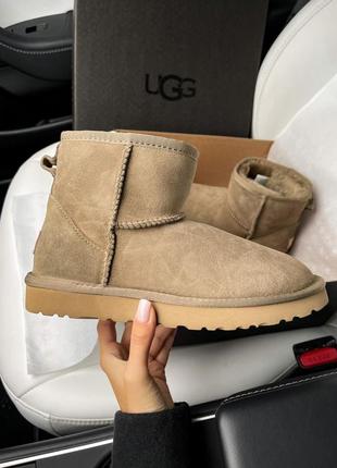 Жіночі зимові уггі ugg mini khaki натуральна замша овчина