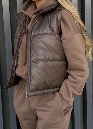 Костюм трійка жилетка спортивний комплект на флісі кофта кенгуру з капюшоном худі штани джогери безрукавка теплий чорний сірий коричневий