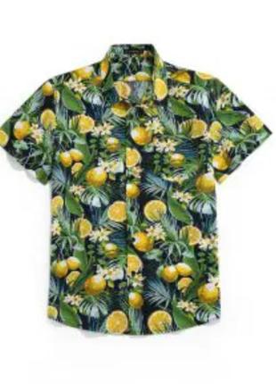 Рубашка шведка с тропическим принтом лимоны как новая р м s2 фото