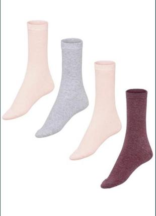 🤎 носки женские германия 🔥 35 36 37 38 esmara хлопок lycra носки набор пастель или поштучно10 фото